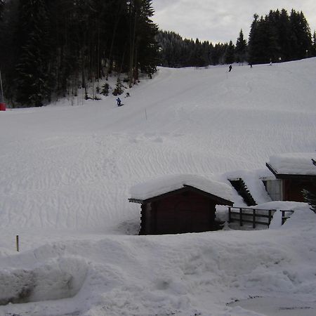 Hotel Les Bernards Praz-sur-Arly Buitenkant foto