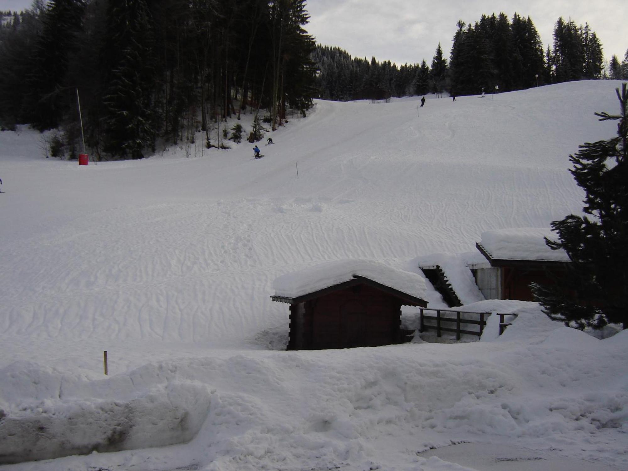 Hotel Les Bernards Praz-sur-Arly Buitenkant foto