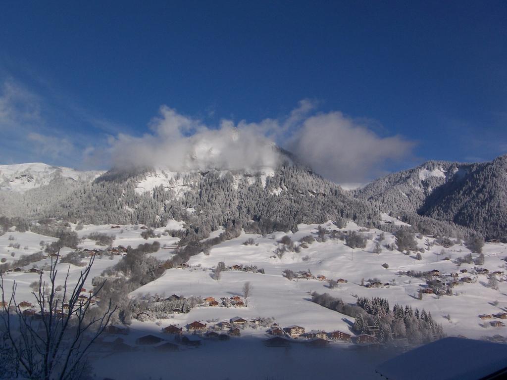 Hotel Les Bernards Praz-sur-Arly Buitenkant foto
