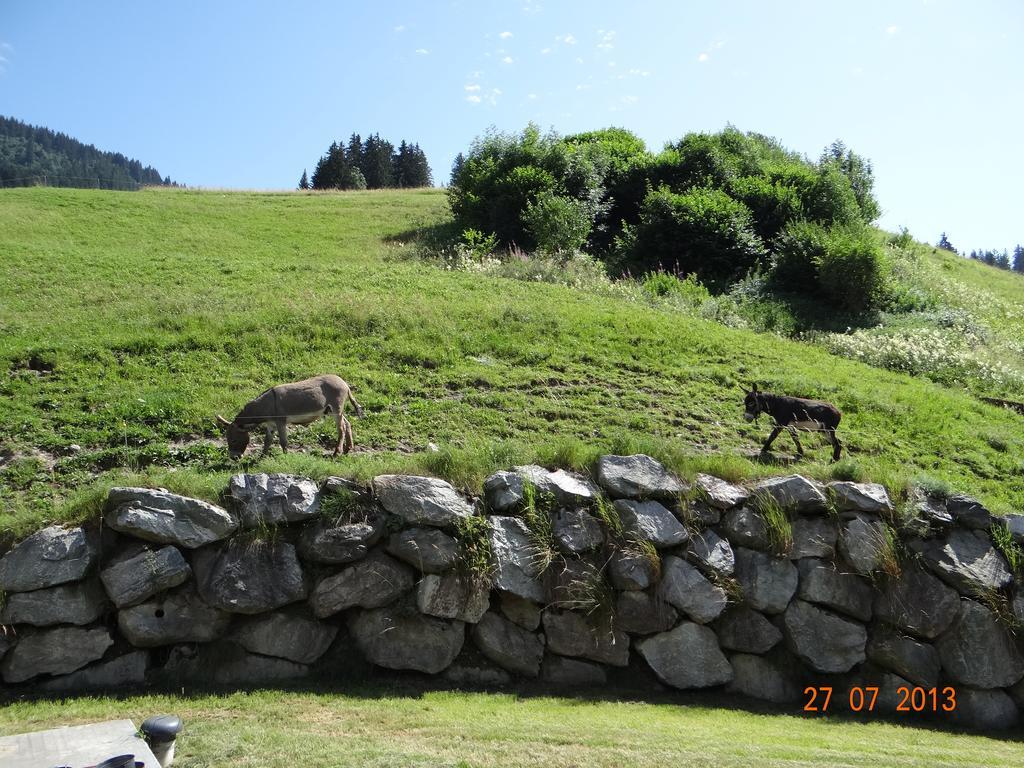 Hotel Les Bernards Praz-sur-Arly Buitenkant foto
