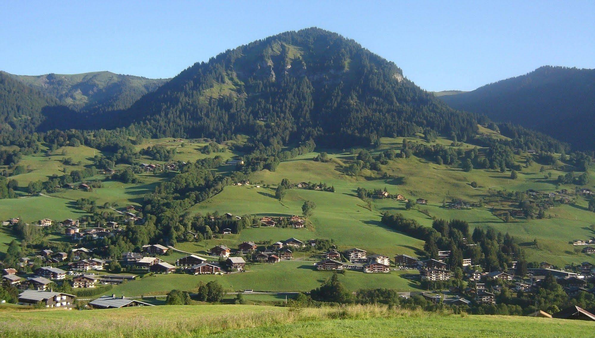 Hotel Les Bernards Praz-sur-Arly Buitenkant foto